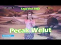 Download Lagu PECAK WELUT - VOC. ELA NANORIYANTO || TEMBANG TERBARU SANDIWARA DWI WARNA || KARANGANYAR - SUKRA