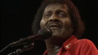 Download Albert Collins - \ MP3