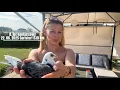 Download Lagu VLOG181 🎥 Kolejna 500-tka i roczne znowu w czubie 👌🔥🕊️8. lot konkursowy Garlstorf 530 km