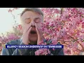 Allergy season underway in Tennessee