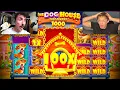 WE TOOK 2 000 TO EVERY DOG HOUSE GAME