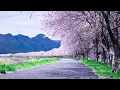 Paektu - Tides Of Time (Meditation Mix)