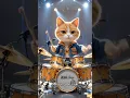 Lagu Kucing Oren Lucu Main Drum Musik Dangdut