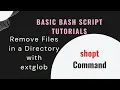 Bash script How to remove all files except the ones that matches pattern