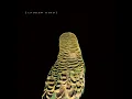 Fiery Crash - Andrew Bird