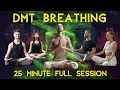 FULL ON DMT Breathing Session - 9 Guided Rounds Matrix Edition