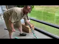 Snakes of North Carolina