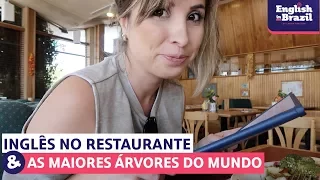 INGLÊS NO RESTAURANTE E AS MAIORES ÁRVORES DO MUNDO | English Vlog #2