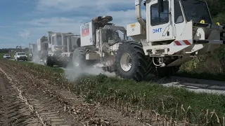 Hunting the Wild Vibrotruck