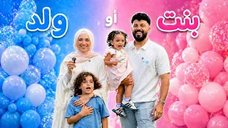 حفلة الكشف عن جنس الجنين 🥹💙🩷 أحمد و سالي