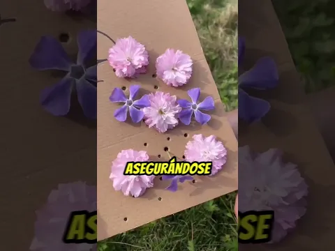 El CUADRO mas CREATIVO😲