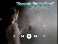 Lagu Separuh Jiwaku Pergi
