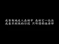 南屏晚钟 蔡琴  (歌词版)