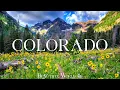 Colorado 4K - Springtime Bliss with Wildflowers and Majestic Mountains