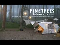 Lagu MASIH BARU!!! Dingin Adem dan nyaman di PINETREES  #camping  #campinglocation #mobigarden #hiking