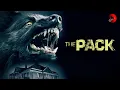 Download Lagu THE PACK 🎬 Exclusive Full Thriller Horror Movie Premiere 🎬 English HD 2024