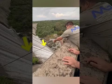 El trabajo más peligroso que nadie quiere hacer, pero que salva miles de vidas 😳