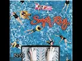 Download Lagu Every Morning - Sugar Ray (432hz)