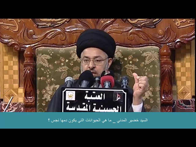 ⁣السيد خضير المدني _ ما هي الحيوانات التي يكون دمها نجس ؟