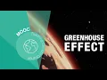 2 Greenhouse effect - Expert evidence of climate change