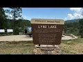 Lynx Lake Walk 2024