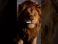 Download Lagu Sigma rule 😎🔥~ Attitude status 😈 | WhatsApp status | Attitude quotes #shorts #quotes #attitude