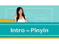 Download Lagu Pinyin Lesson Series #1: What is Pinyin \u0026 How Does it Help Me Speak Mandarin Chinese? | Yoyo Chinese