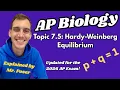 7 5 Hardy-Weinberg Equilibrium - AP Biology Updated 2025-2026