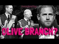 Download Lagu OLIVE BRANCH? - Or Just Trying To Find A Way To Play Victim, Again