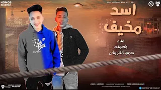 مهرجان اسد مخيف   شعوذة و حمو الكروان        دندنها