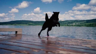 A Talk About Change – Pushing North 103