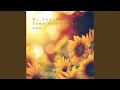Download Lagu My Sunshine, Your Sunflower