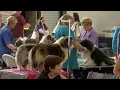 Helena hosts annual dog show