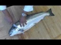 Download Lagu How to Fillet a Whole Salmon : Techniques for Cleaning, Butchering \u0026 Cutting a Whole Salmon