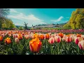 Download Lagu Самая красивая мелодия на свете! Музыка такая красивая, что трогает душу и сердце!#музыка
