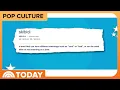 Cambridge Dictionary Adds 6 000 Words Including Skibidi Delulu