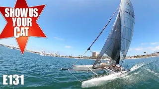 Show us your cat! Episode 131 Canary Islands, Germany, USA, Australia and Brazil