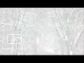 Calm Classroom Background - Relaxing Snow Day Ambience with Winter Winds for Focus Reading 4K