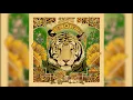 Skott - Midas