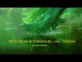 Nitefreak & Emmanuel Jal - Gorah (Mavrin Remix)