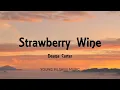 Deana Carter - Strawberry Wine (Lyrics)