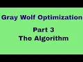 Gray Wolf Optimization - Part 3