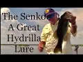 Download Lagu The Senko- a great Hydrilla lure
