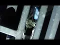 bladee - Gatekeeper prod Whitearmor F1LTHY