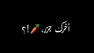ارنب هلفوت اخرك جزر انا قاصف الجبهه حالة واتس شاشه سوداء دندنها