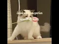 DIDIxDADA - จังหวะตกหลุมรัก (Magic Moment)
