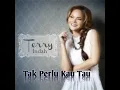 Lagu Indo Pop | Terry - Tak Perlu kau Tau
