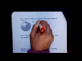 Geometry Unit 11 Spheres Surface Area and Volume