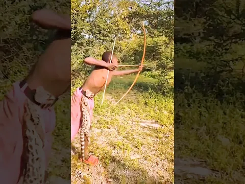 They Spotted an Easy Opportunity… Then Chaos Followed! 😳🦌 | Bush Awareness!