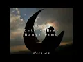 Ayman amin Ente wa bass lirik & terjemahan (أيمن امين-انتي وبس)   lagu arab romantis